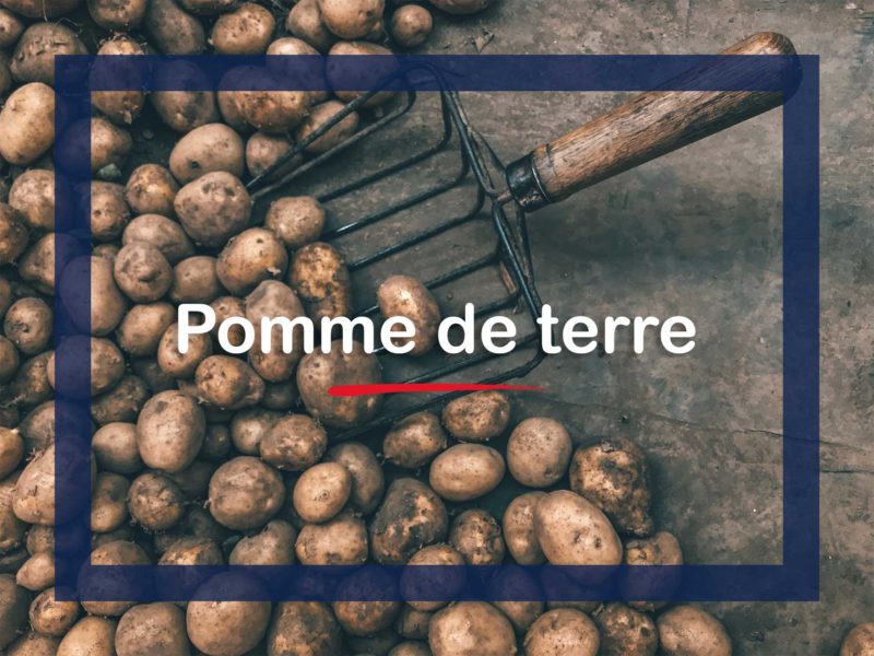 L'Histoire de la pomme de terre