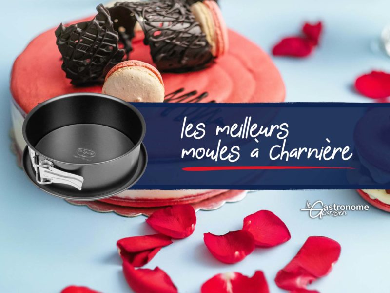 Meilleur moule à charnière