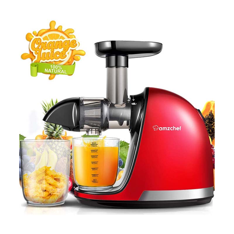 Extracteur de jus de fruits AMZCHEF ZM1501