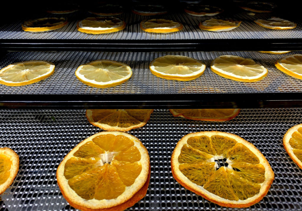 Lamelles d'oranges dans un déshydrateur alimentaire