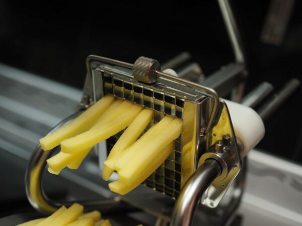 Coupe-frites professionnel Louis Tellier